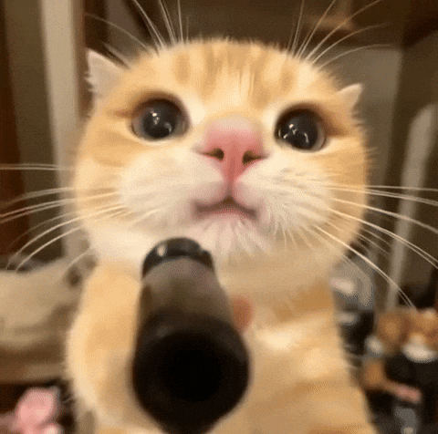 こわいぽち
